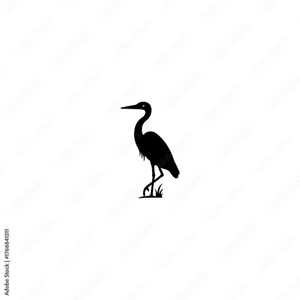 Fototapeta premium The hawk is gathering food. বক পাখি