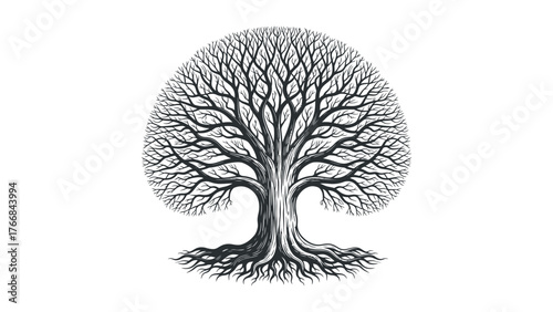 Detailed black ink drawing of a large tree with intricate branches and roots