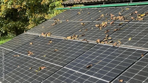 walnut leaves on photovoltaic panels in autumn