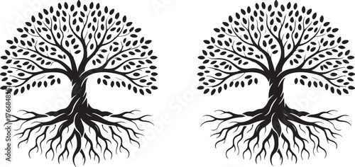 family tree silhouette   