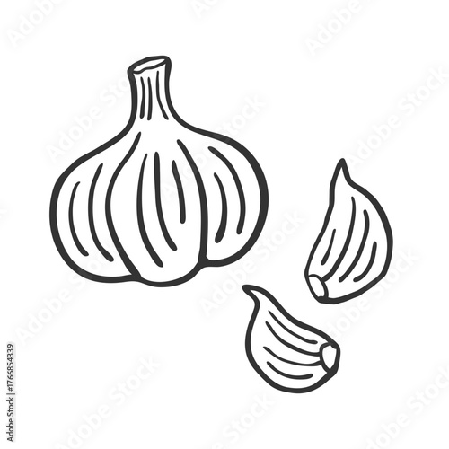 Garlic Hand Drawn Vector Sketch Illustration