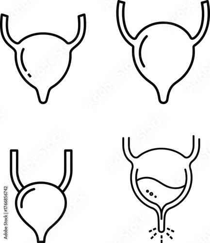 Set of Four Outline Urinary Bladder Icons Various States Designs Isolated Transparent Background