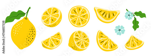 Lemon Vector Set. Hand-Drawn Citrus Slices and Leaves. Colorful sketch illustration of fruits
