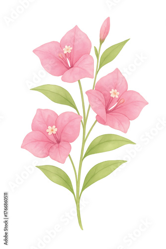 dok_feung_fa_watercolor_thai_flower