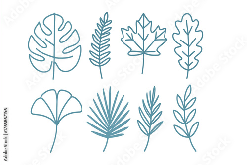 Collection of various botanical leaf outlines in a simple hand-drawn style