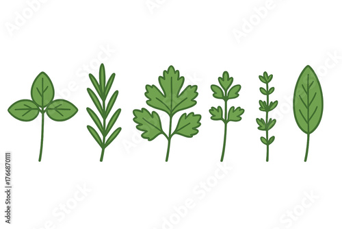 Stylized collection of fresh green culinary herbs and spices leaves isolated on white