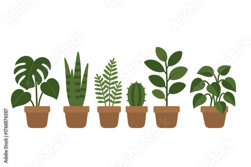 A row of popular indoor houseplants in terracotta pots against a white background