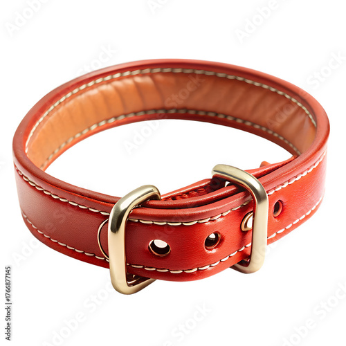 Dog Collar Isolated on Transparent Background