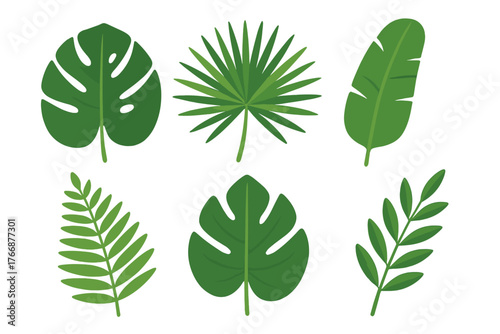 Collection of six different tropical green leaves including monstera, palm, and banana