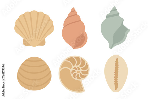 Collection of various marine seashells and mollusks in soft pastel colors on white background