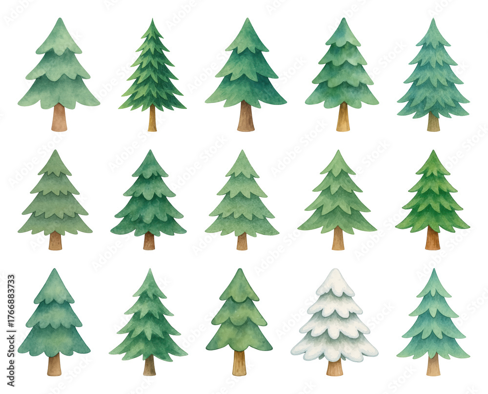 Fototapeta premium PNG Watercolor evergreen trees collection, element set on transparent background