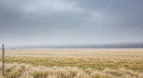 Wide empty field with dry pale grass under heavy grey sky  