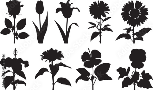 A set of vector silhouettes of floral elements and flowers with leaves for design and pattern illustration