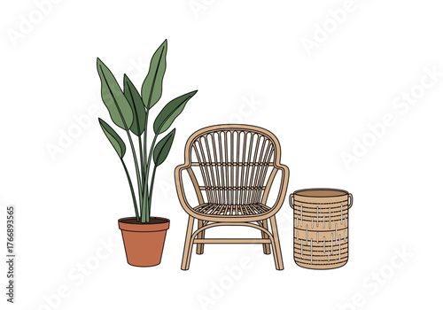 Rattan chair houseplant and basket on white background