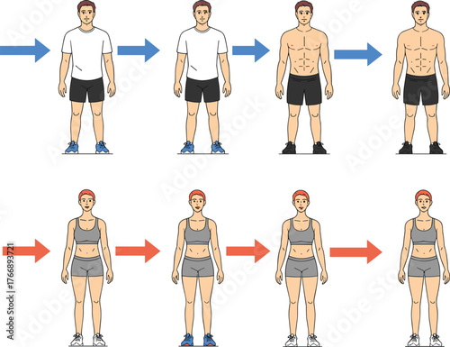 Male and female fitness transformation, body composition stages, muscle definition progress, workout results, health improvement, training evolution, physique change, exercise illustration