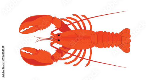 A vibrant illustration of a bright orange lobster with prominent claws and antennae, ideal for marine life or seafood-themed designs.