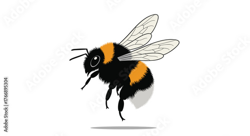 A vibrant illustration of a fuzzy black and yellow striped bumblebee in mid-flight, showcasing its delicate wings and antennae on a clean white background.