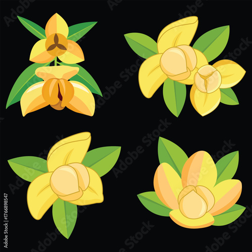 Four Romdoul flowers black background