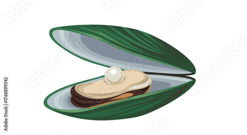 Illustration of an open mussel shell revealing a lustrous pearl inside.