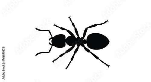 A detailed silhouette of an ant showcases its six legs, antennae, and segmented body in a clear and simple design suitable for various applications.