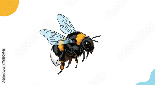 A close up illustration of a fuzzy bumblebee in flight with its wings spread against a white background.