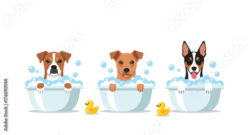 Three different dog breeds happily take a bubble bath in separate tubs with rubber ducks, showcasing a cheerful pet grooming scene.