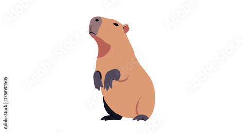 A cartoon illustration features a capybara standing upright, gazing upwards with an expression of gentle curiosity, set against a clean white background.