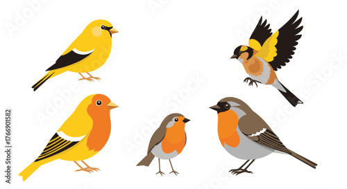 A vibrant collection of small songbirds, including goldfinches and robins, depicted in various poses on a clean white background.