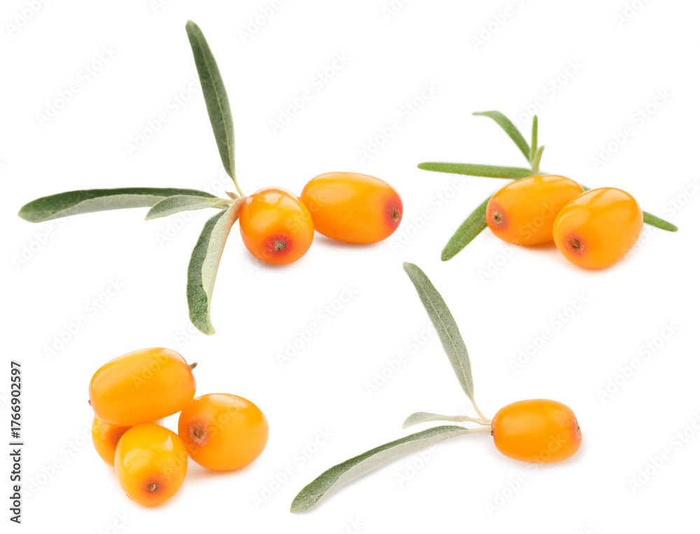 Obraz premium Sea buckthorn berries and green leaves isolated on white, set