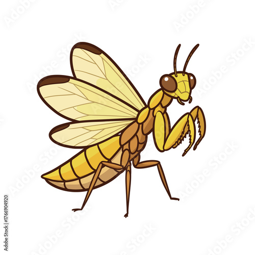 Cartoon Praying Mantis Insect Illustration.