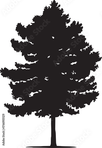 Loblolly Pine Tree Hand drawn vector illustration. Black and white graphics on a white background