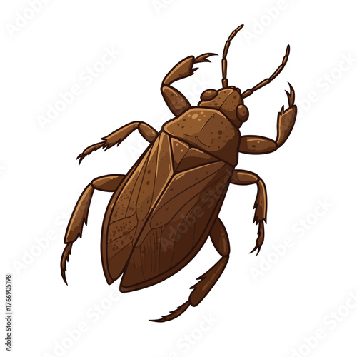 Giant Water Bug Insect Illustration Isolated.