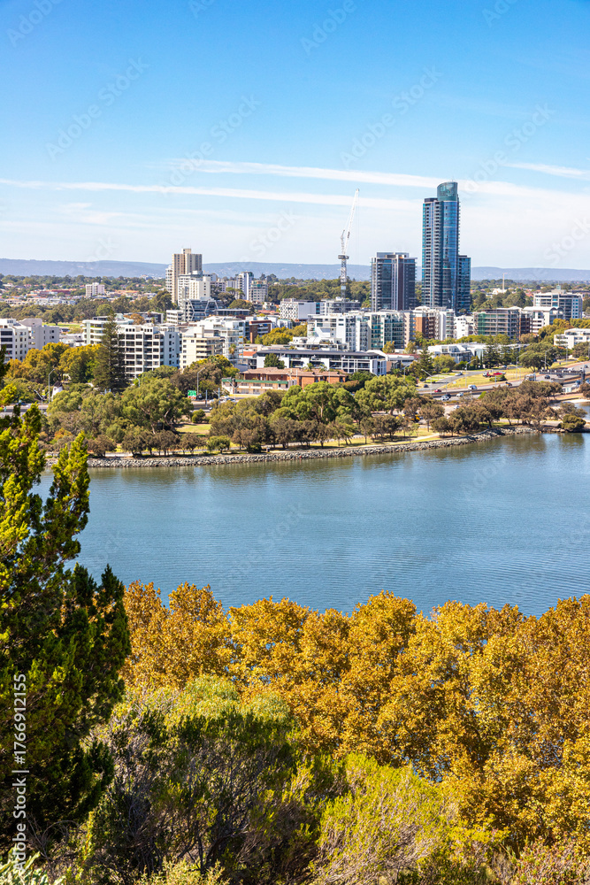Fototapeta premium The city of Perth and the Swan River viewed from Kings Park and Botanic Garden, Perth, Western Australia, WA, Australia
