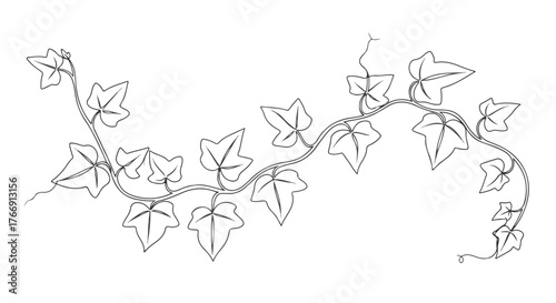 Ivy vine branch minimalist botanical line art decorative composition.