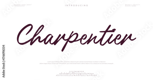 Signature Font Calligraphy Logotype Script Font Type Font lettering handwritten.