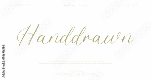 signature Font Calligraphy Logotype Script Brush Font Type Font lettering handwritten