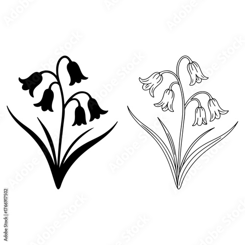 Black silhouette and line drawing of delicate bluebells flowers art isolated on transparent background