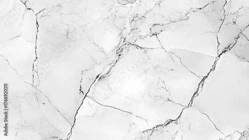 Elegant Stone Surface with Black Veining White Marble