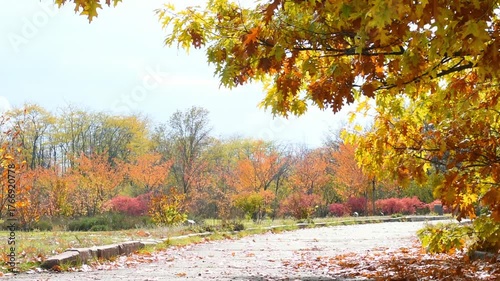 Beautiful autumn park areas on a cloudy day. 