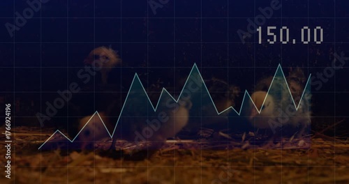 First chick stepping onto bedding causing graph rising and chicks foraging under grid overlay