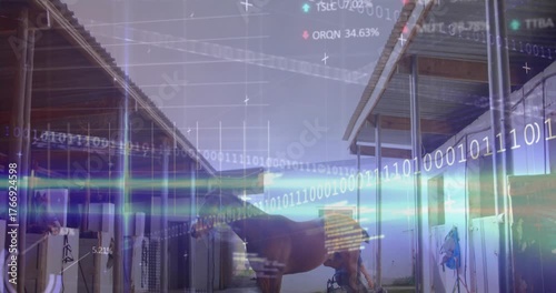 Chestnut horse stepping into corridor initiating vet scan, worker fitting brace using data overlay