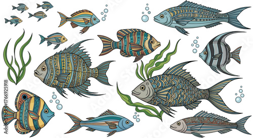 Decorative illustrations of diverse fish with unique patterns and scales, accompanied by graceful seaweed and floating bubbles, isolated on white.