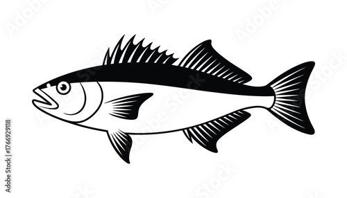 Black and white graphic illustration of a fish with sharp fins and open mouth aquatic marine vector illustration.