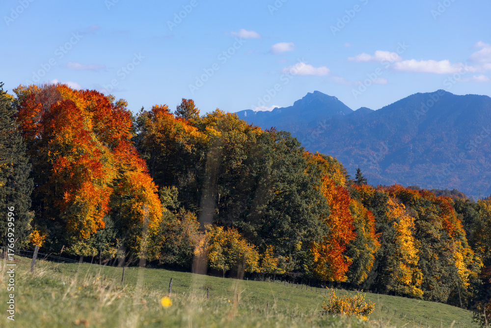 Obraz premium Benediktenwand im Herbst