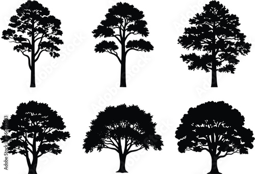 Black Tree Silhouette Set – Diverse Vector Tree Shapes for Nature, Landscape, Botanical, Educational, and Artistic Design Applications