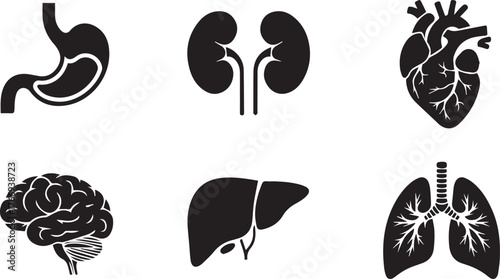 Vector art of human internal organ icons