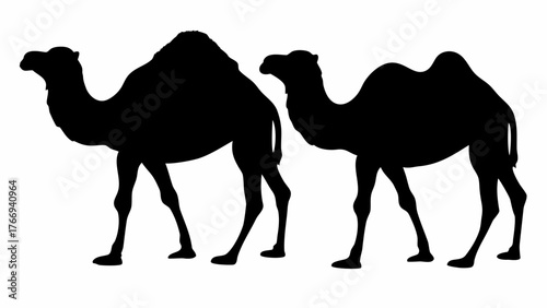 Silhouette depiction of two camels standing side by side on a white background in a simple illustration