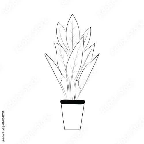 plant in a pot. strelitzia, plant line art