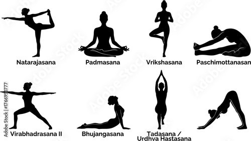 Yoga Poses Vector Set with Names – Collection of Female Silhouettes Showing Popular Asanas Including Natarajasana, Padmasana, Vrikshasana, Paschimottanasana, Warrior, Cobra, Mountain, and Downward Dog