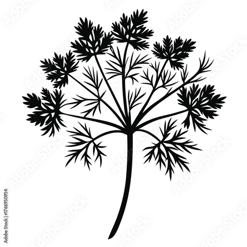 Wallpaper Mural Aromatic dill branch with delicate leaves creates an appealing botanical silhouette on a white backdrop Torontodigital.ca